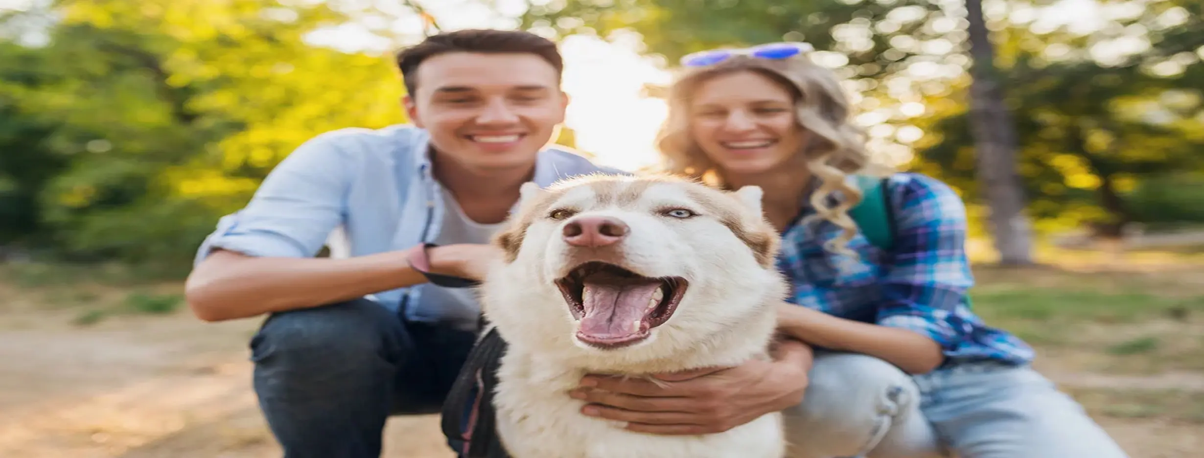Image for Pet Friendly Community